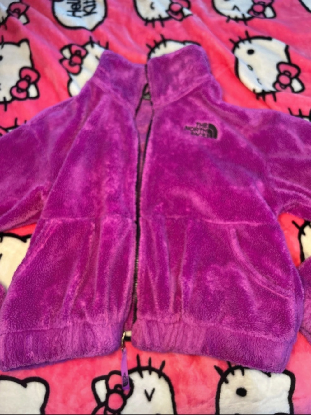 The North Face Plush Fleece Jacket in Bright Purple